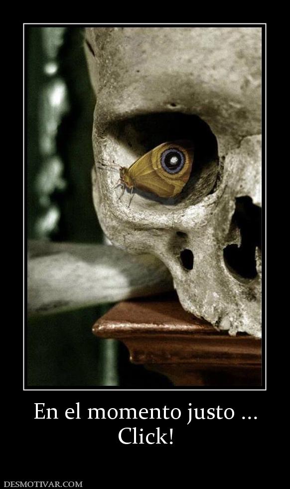 En el momento justo ... Click!