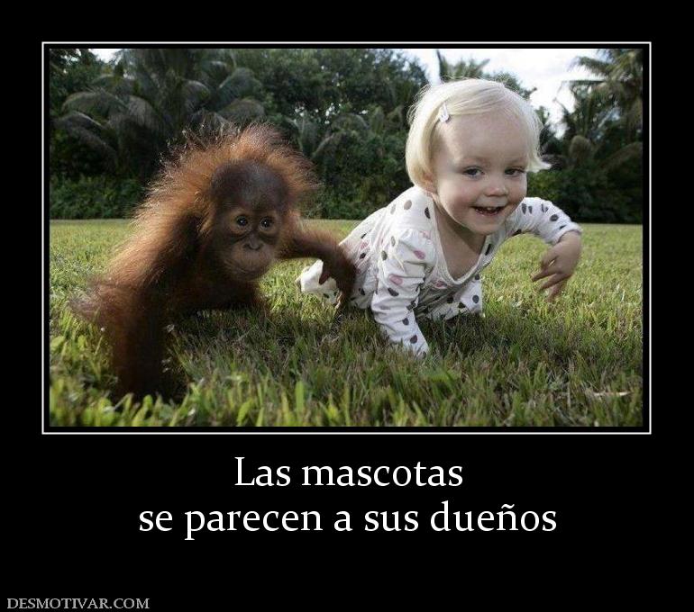 Las mascotas se parecen a sus dueños