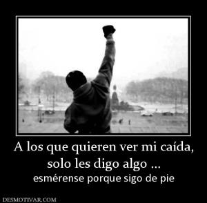 A los que quieren ver mi caída, solo les digo algo ... esmérense porque sigo de pie