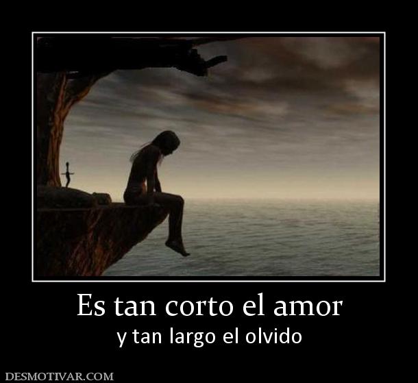 Es tan corto el amor y tan largo el olvido