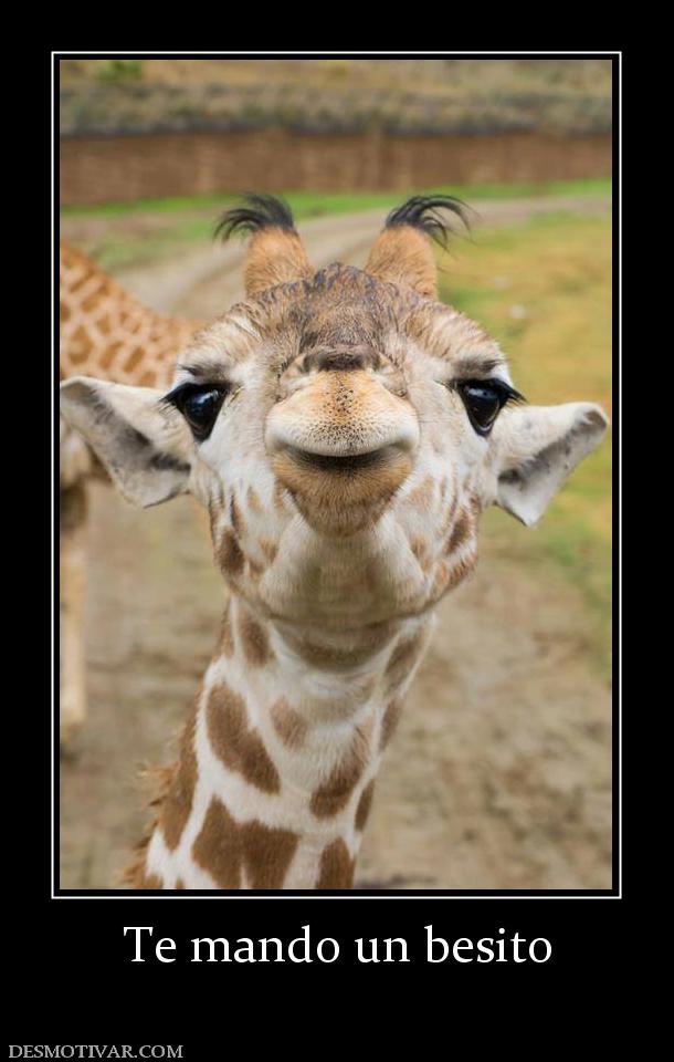 Te mando un besito