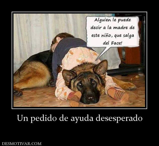 Un pedido de ayuda desesperado