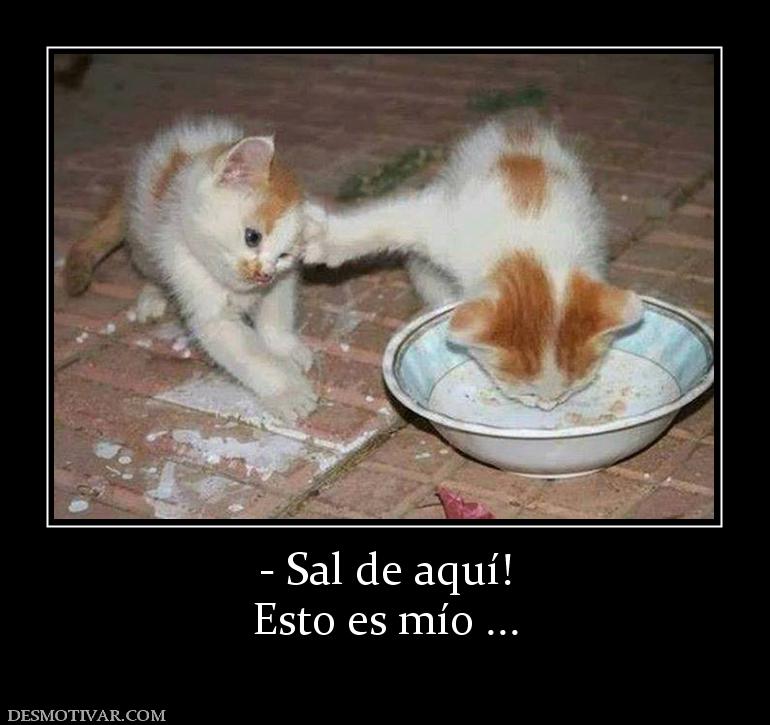 - Sal de aquí! Esto es mío ...