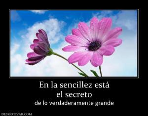 En la sencillez está el secreto de lo verdaderamente grande
