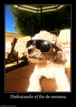 Disfrutando el fin de semana