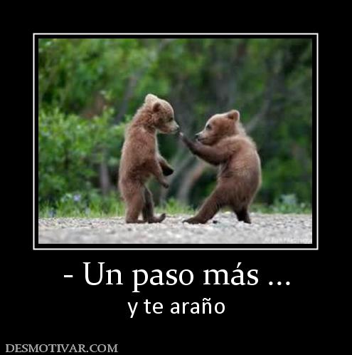 - Un paso más ... y te araño