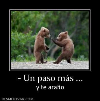 - Un paso más ... y te araño