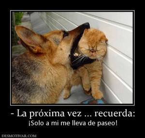 - La próxima vez ... recuerda: ¡Solo a mi me lleva de paseo!