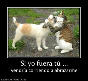 Si yo fuera tú ... vendría corriendo a abrazarme
