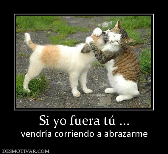 Si yo fuera tú ... vendría corriendo a abrazarme