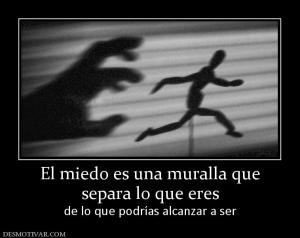 El miedo es una muralla que separa lo que eres de lo que podrías alcanzar a ser