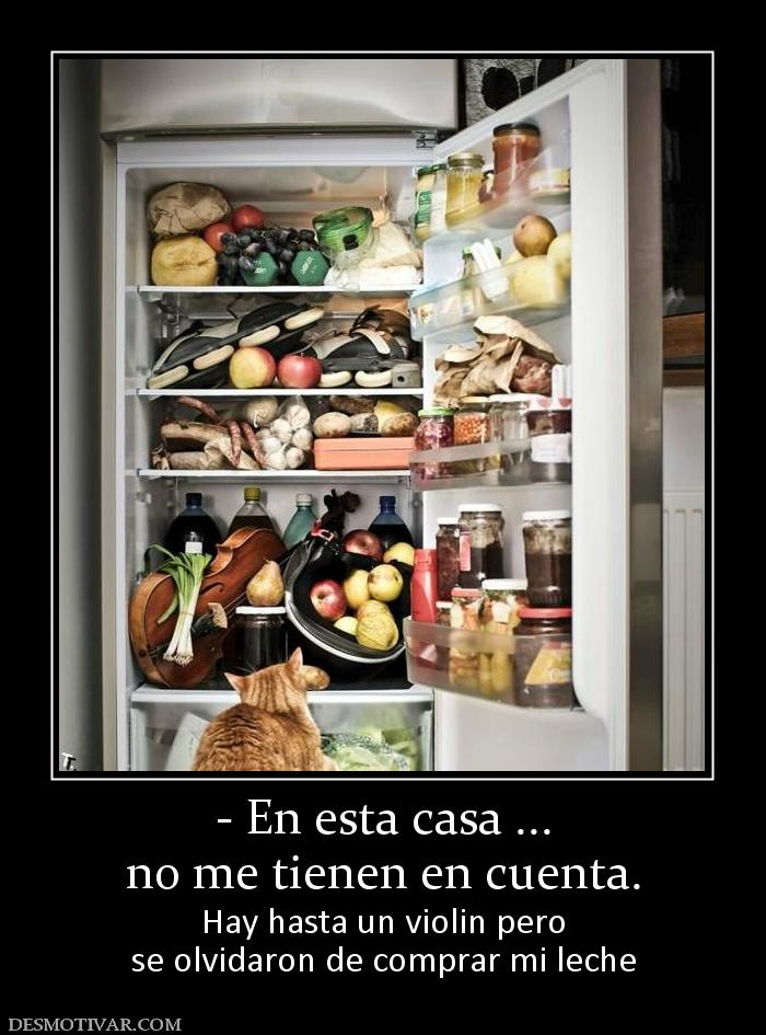 - En esta casa ... no me tienen en cuenta. Hay hasta un violin pero se olvidaron de comprar mi leche