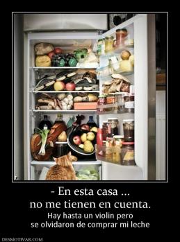 - En esta casa ... no me tienen en cuenta. Hay hasta un violin pero se olvidaron de comprar mi leche