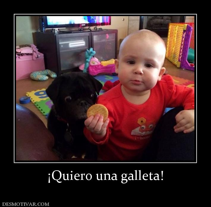¡Quiero una galleta!