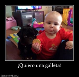 ¡Quiero una galleta!