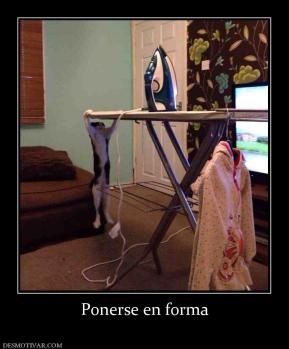 Ponerse en forma