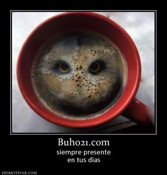 Buho21.com siempre presente en tus días