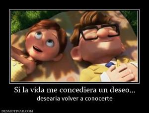 Si la vida me concediera un deseo... desearía volver a conocerte