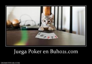 Juega Poker en Buho21.com