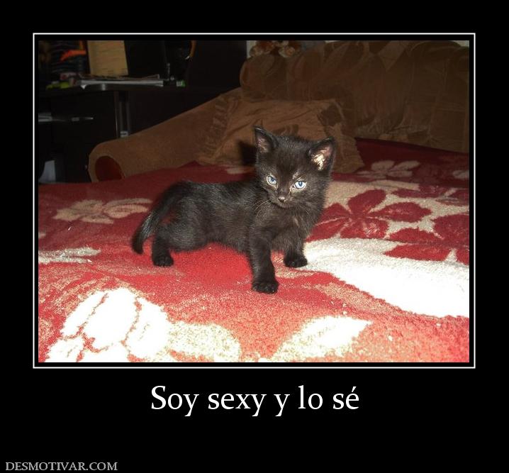 Soy sexy y lo sé