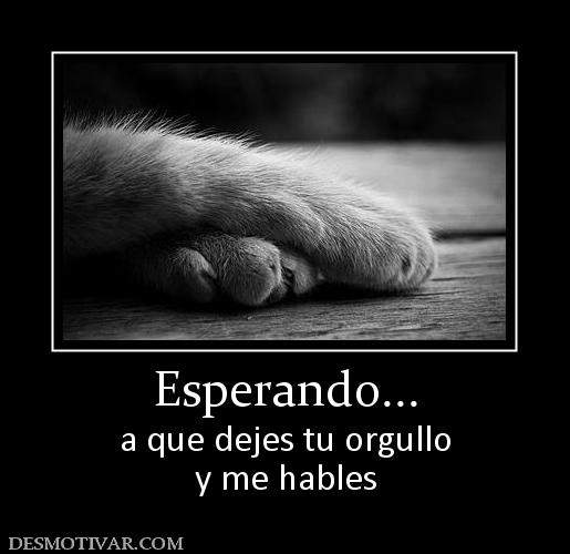 Esperando... a que dejes tu orgullo y me hables