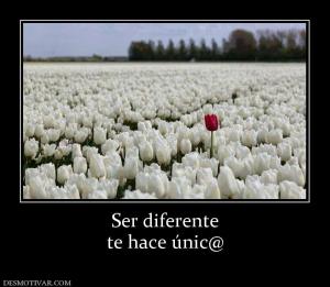 Ser diferente te hace únic@