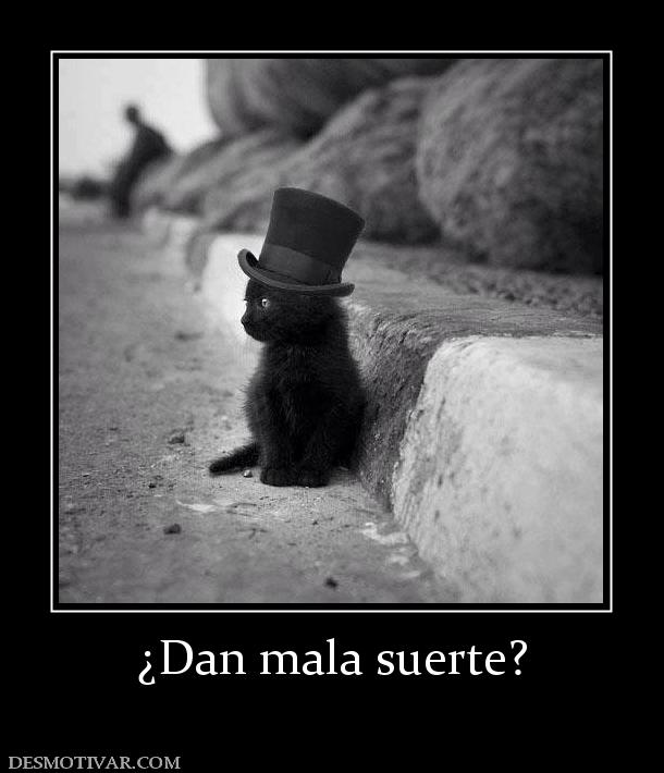 ¿Dan mala suerte?