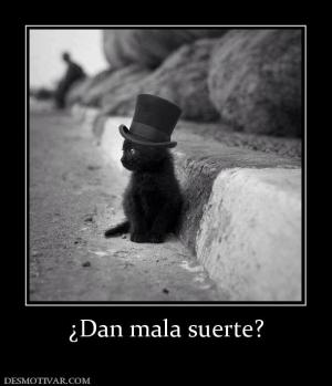 ¿Dan mala suerte?
