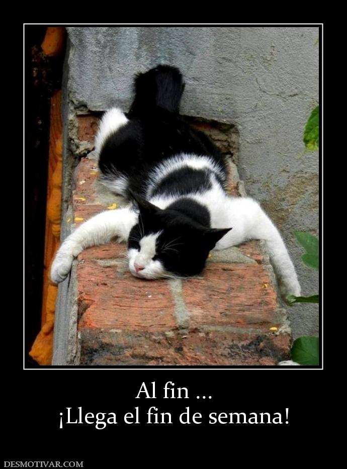 Al fin ... ¡Llega el fin de semana!