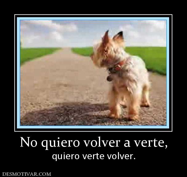 No quiero volver a verte, quiero verte volver.