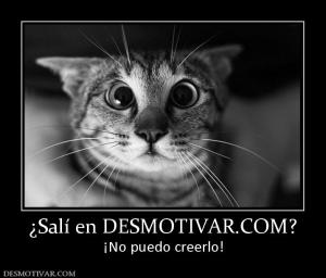 ¿Salí en DESMOTIVAR.COM? ¡No puedo creerlo!