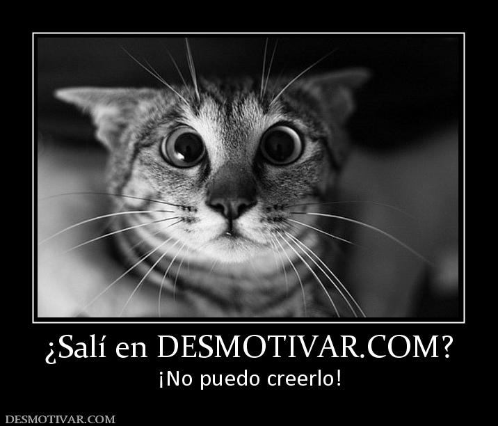 ¿Salí en DESMOTIVAR.COM? ¡No puedo creerlo!