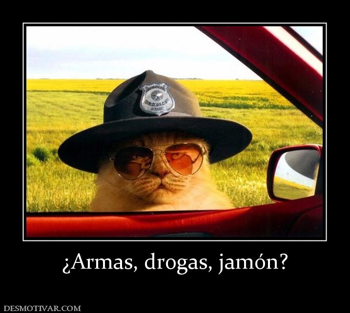 ¿Armas, drogas, jamón?