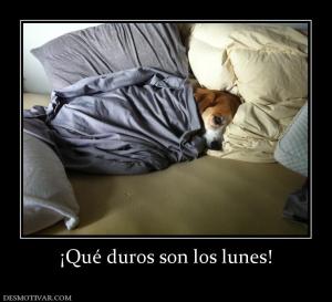 ¡Qué duros son los lunes!