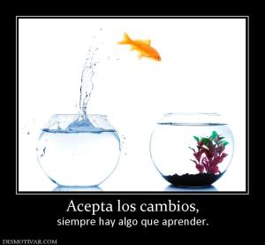 Acepta los cambios, siempre hay algo que aprender.