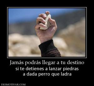 Jamás podrás llegar a tu destino si te detienes a lanzar piedras a dada perro que ladra