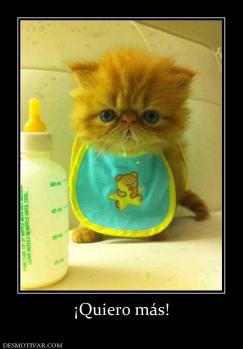 ¡Quiero más!