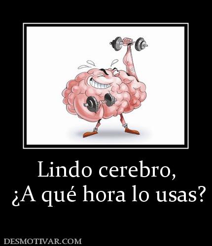 Lindo cerebro,  ¿A qué hora lo usas?