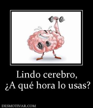 Lindo cerebro,  ¿A qué hora lo usas?