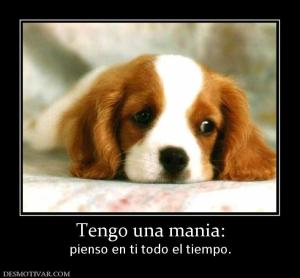 Tengo una mania: pienso en ti todo el tiempo.