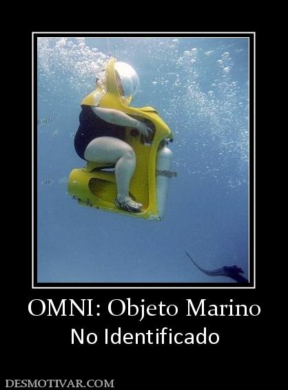 OMNI: Objeto Marino No Identificado