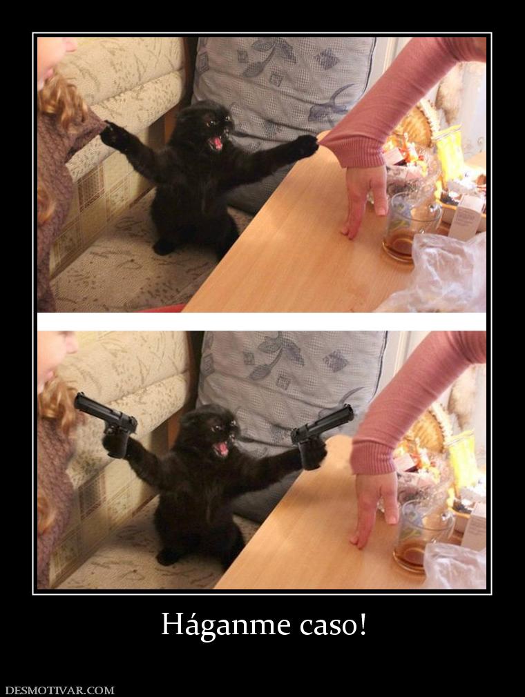 Háganme caso!