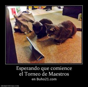 Esperando que comience el Torneo de Maestros en Buho21.com