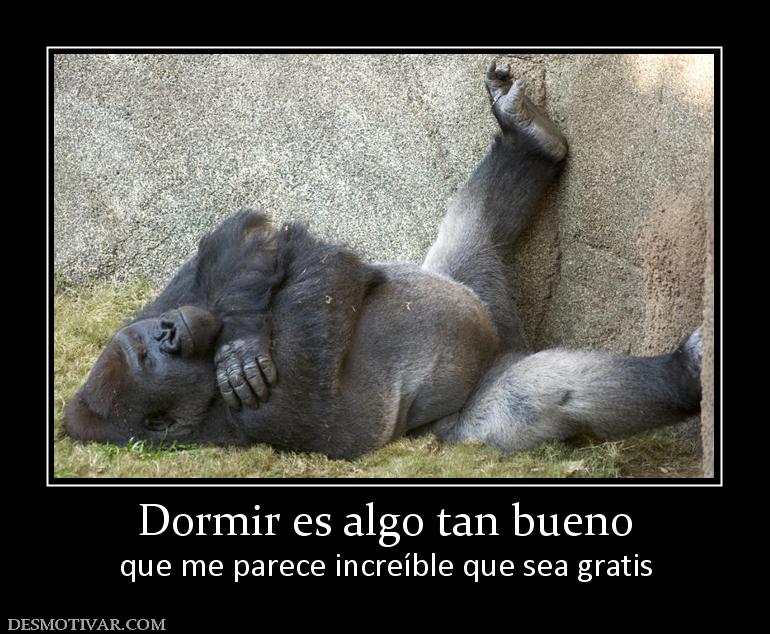 Dormir es algo tan bueno que me parece increíble que sea gratis