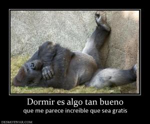 Dormir es algo tan bueno que me parece increíble que sea gratis