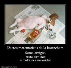Efectos matemáticos de la borrachera: Suma amigos, resta dignidad y multiplica sinceridad