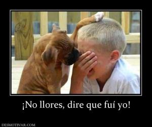 ¡No llores, dire que fuí yo!