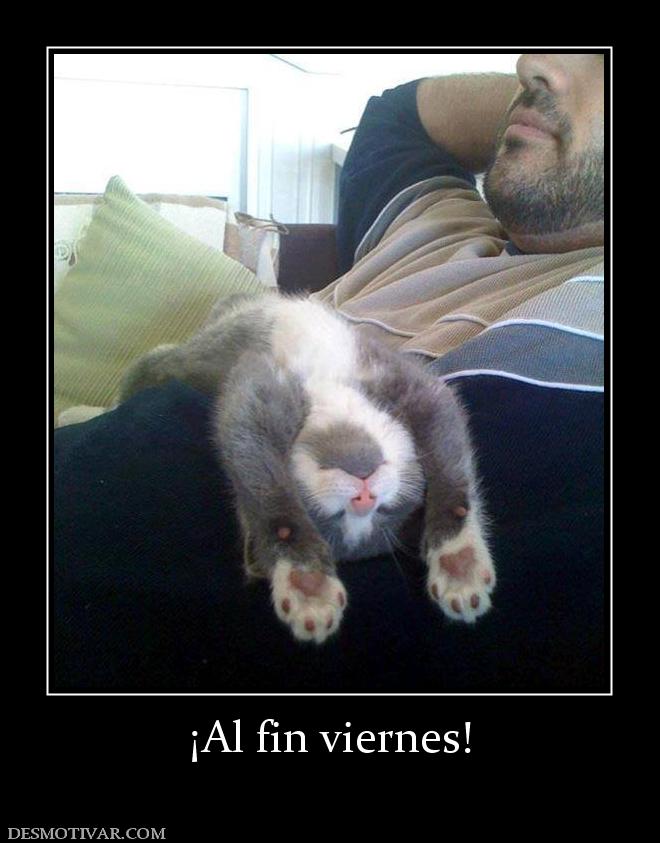 ¡Al fin viernes!