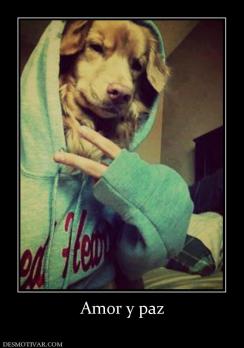 Amor y paz
