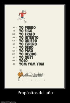 Propósitos del año